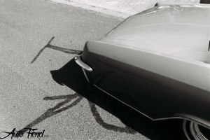 12034201_1635441973384054_1617897458223270932_o